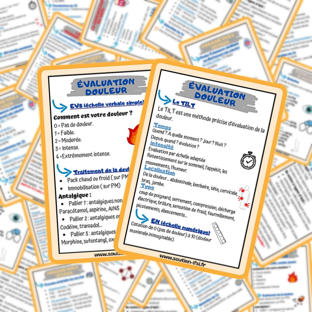 Lots de 4 fiches mémos IDE - l'essentiel