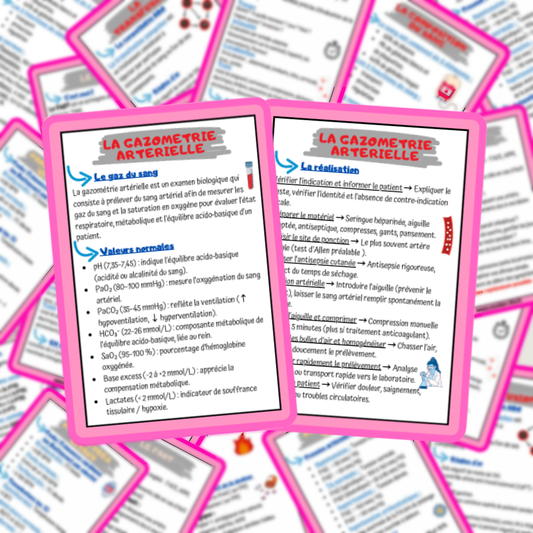 Lots de 4 fiches mémos IDE - les soins techniques