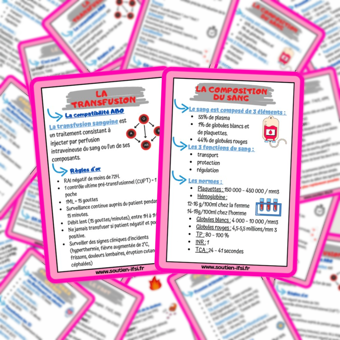 Pack - Lot de 4 fiches mémos - l'essentiel