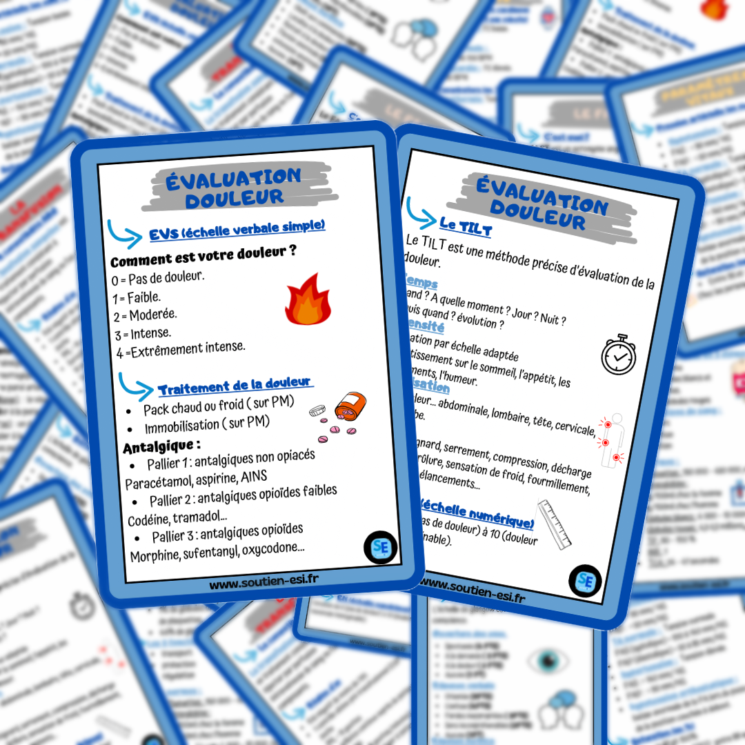 Pack - Lot de 4 fiches mémos - l'essentiel