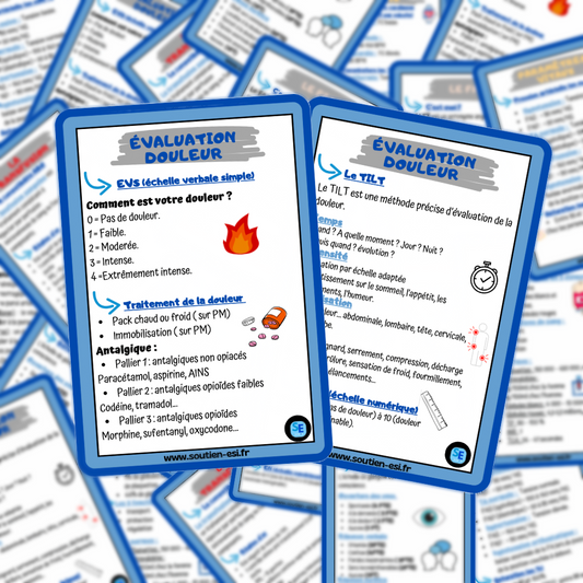 Pack - Lot de 4 fiches mémos - l'essentiel