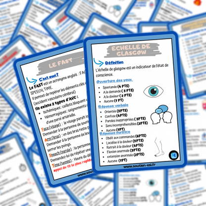 Pack - Lot de 4 fiches mémos - l'essentiel