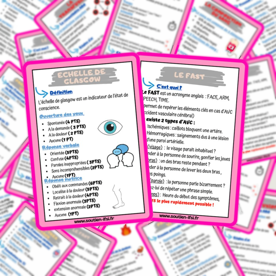 Pack - Lot de 4 fiches mémos - l'essentiel