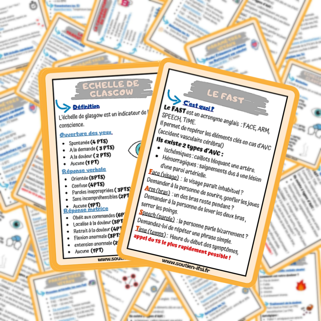 Lots de 4 fiches mémos IDE - l'essentiel