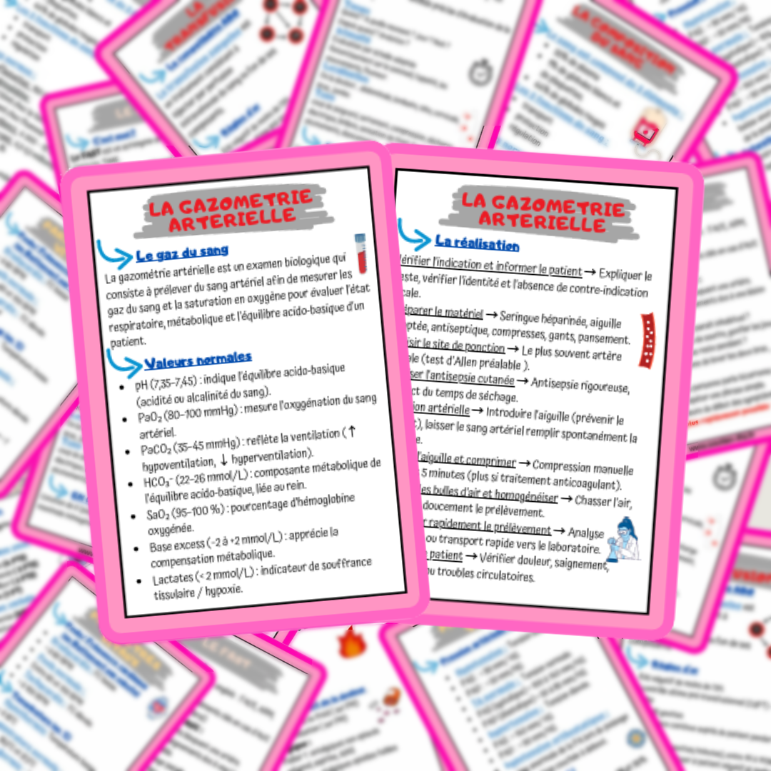 Lots de 4 fiches mémos IDE - les soins techniques