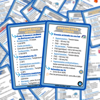 Pack - Lot de 4 fiches mémos - l'essentiel