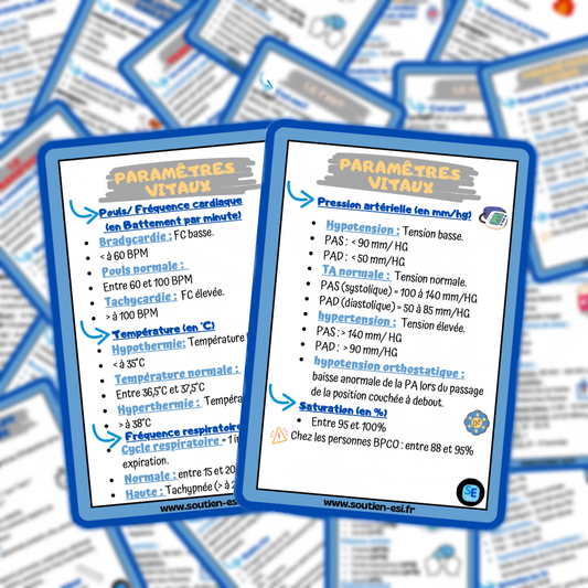 Lots de 4 fiches mémos IDE - l'essentiel