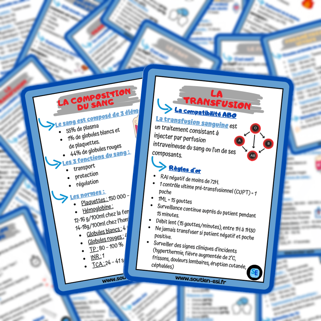 Pack - Lot de 4 fiches mémos - l'essentiel