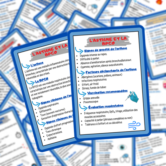 Lots de 4 fiches mémos IDE - Pathologies les plus rencontrées