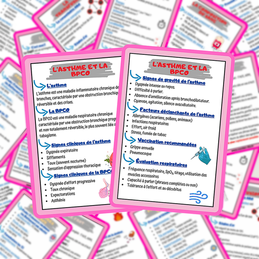 Lots de 4 fiches mémos IDE - Pathologies les plus rencontrées