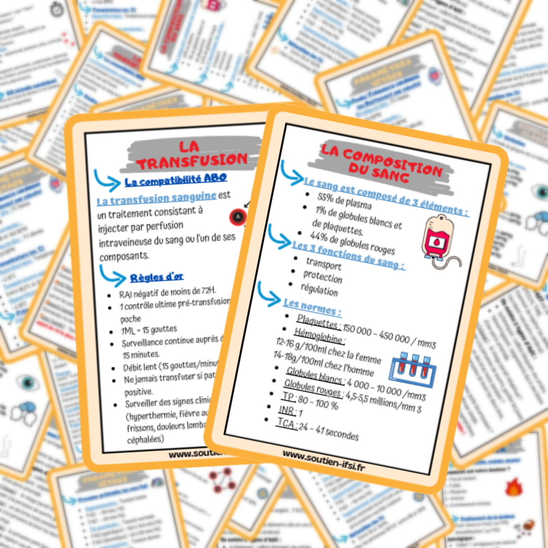 Lots de 4 fiches mémos IDE - l'essentiel